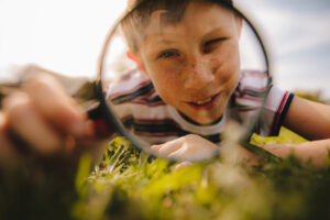 Should You Develop a Microsite for SEO? Learn Why and How – TopRank® Marketing