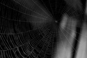Adapting to Google’s New Reality – TopRank® Marketing