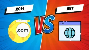 .COM  Vs .NET: The Truth About Domain Extensions