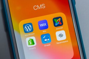 Which Is Better for Your eCommerce Business?