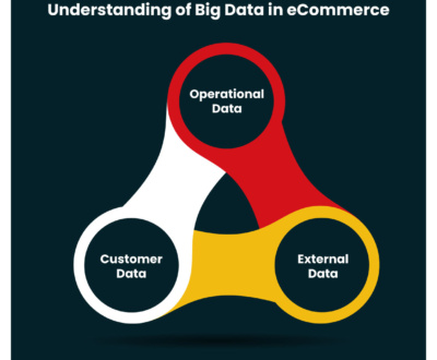 Unlock the Power of Big Data for Your eCommerce Businesses