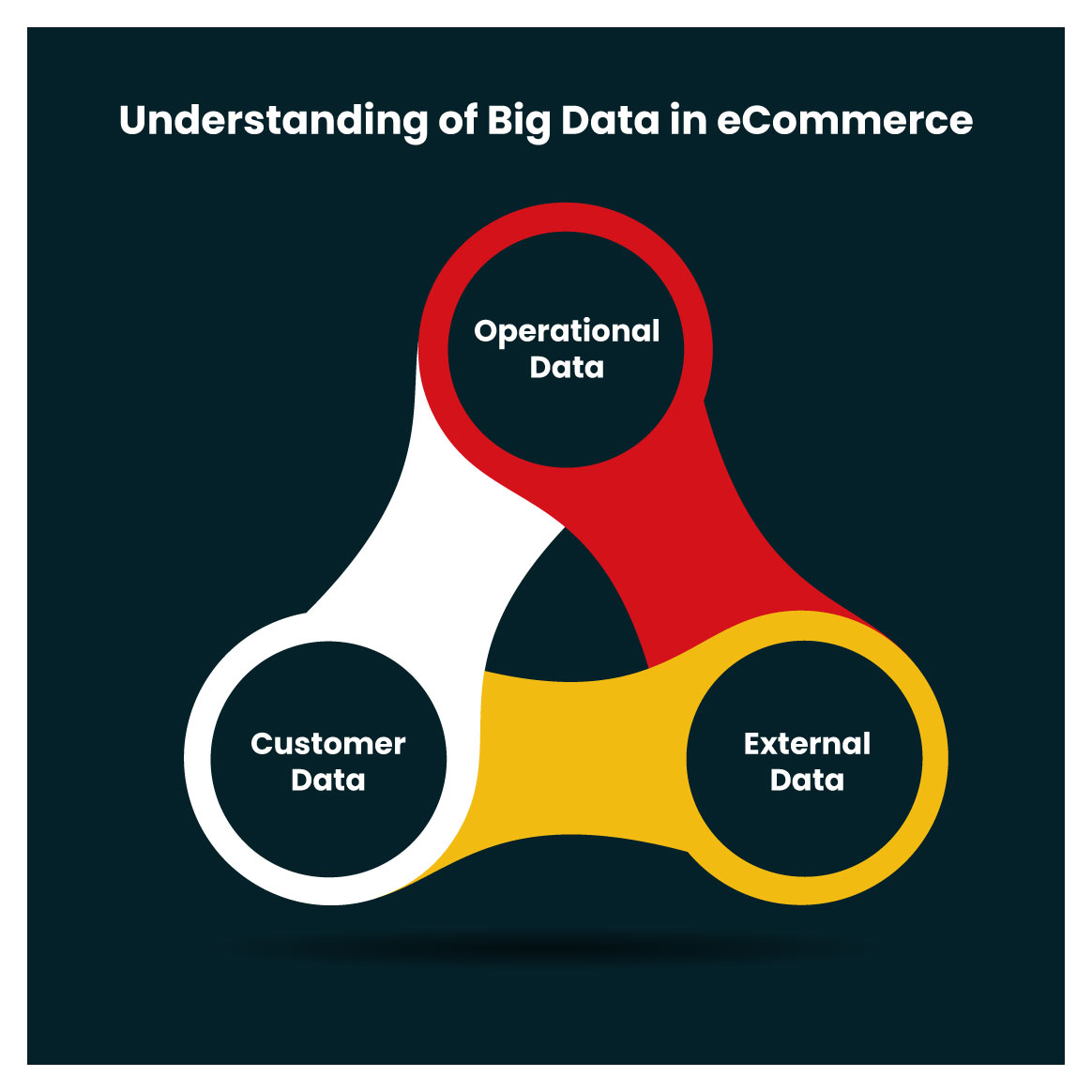 Unlock the Power of Big Data for Your eCommerce Businesses