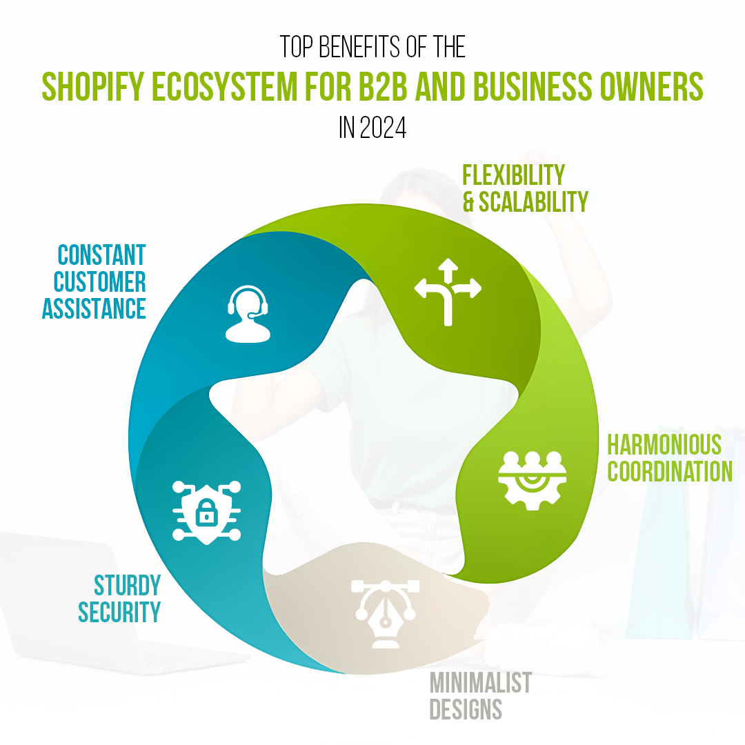 Maximizing B2B Success with Shopify Ecosystem